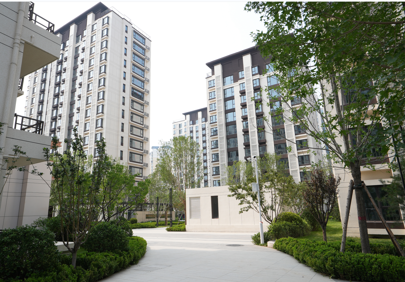 “零跑腿”十五天拿证