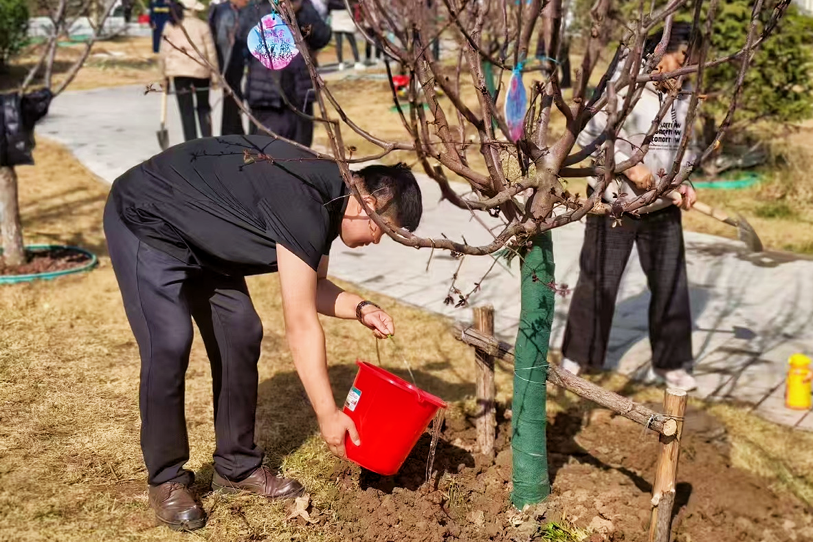生产经营丨海棠共植 品质共建